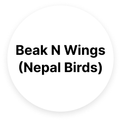 Beak N Wings - Logo